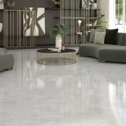 Carrelage sol brillant...