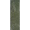 Carrelage mur Antica vert 10x30 cm